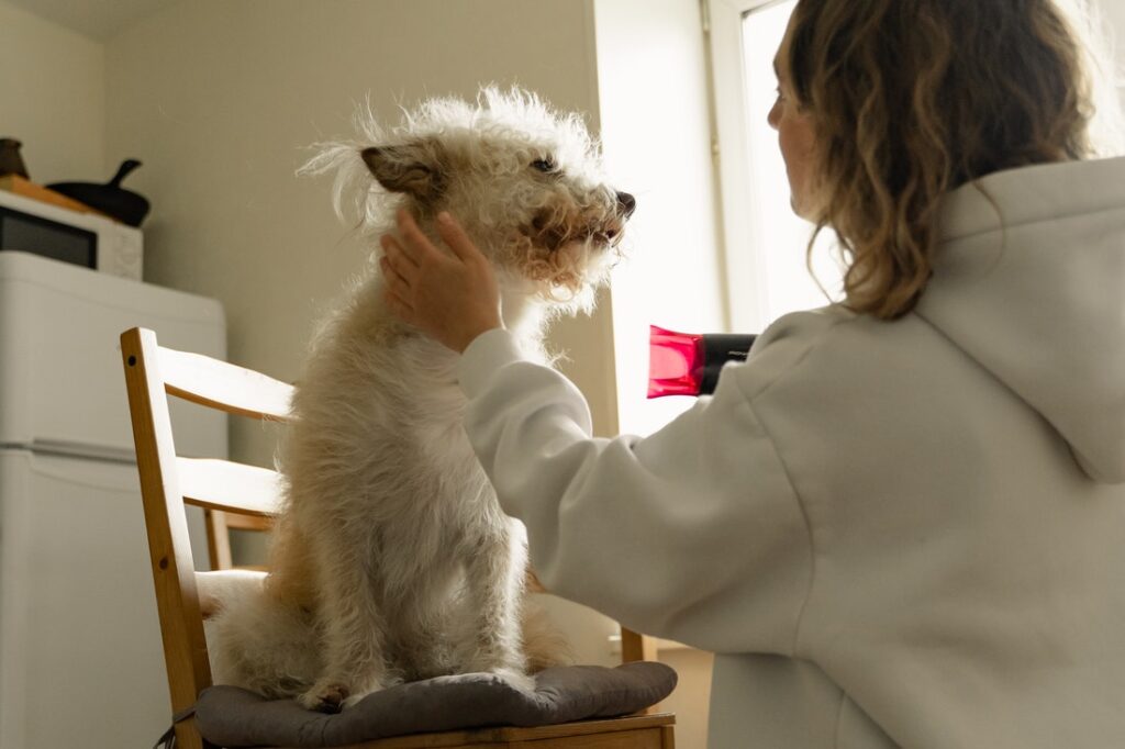 how do i dry my puppy after a bath